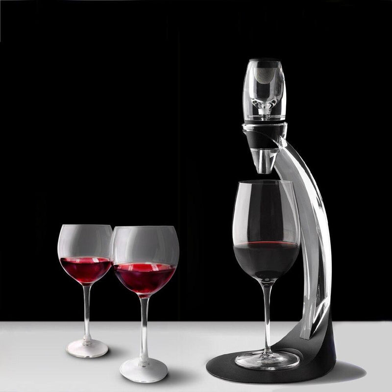 Professional Red Wine Decanter Pourer With Filter Stand Holder Vodka Quick Air Aerator for Home Dining Bar Essential Set - Sorta Stuff