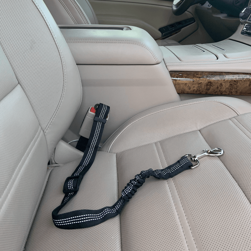 Car Elastic Safety Leash - Sorta Stuff