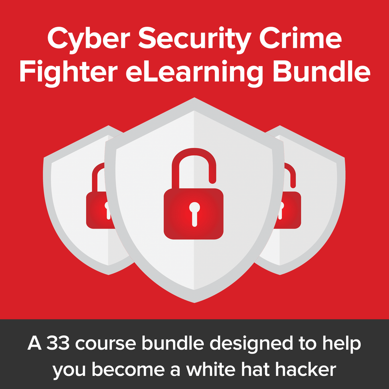 Cyber Security Crime Fighter eLearning Bundle - Sorta Stuff