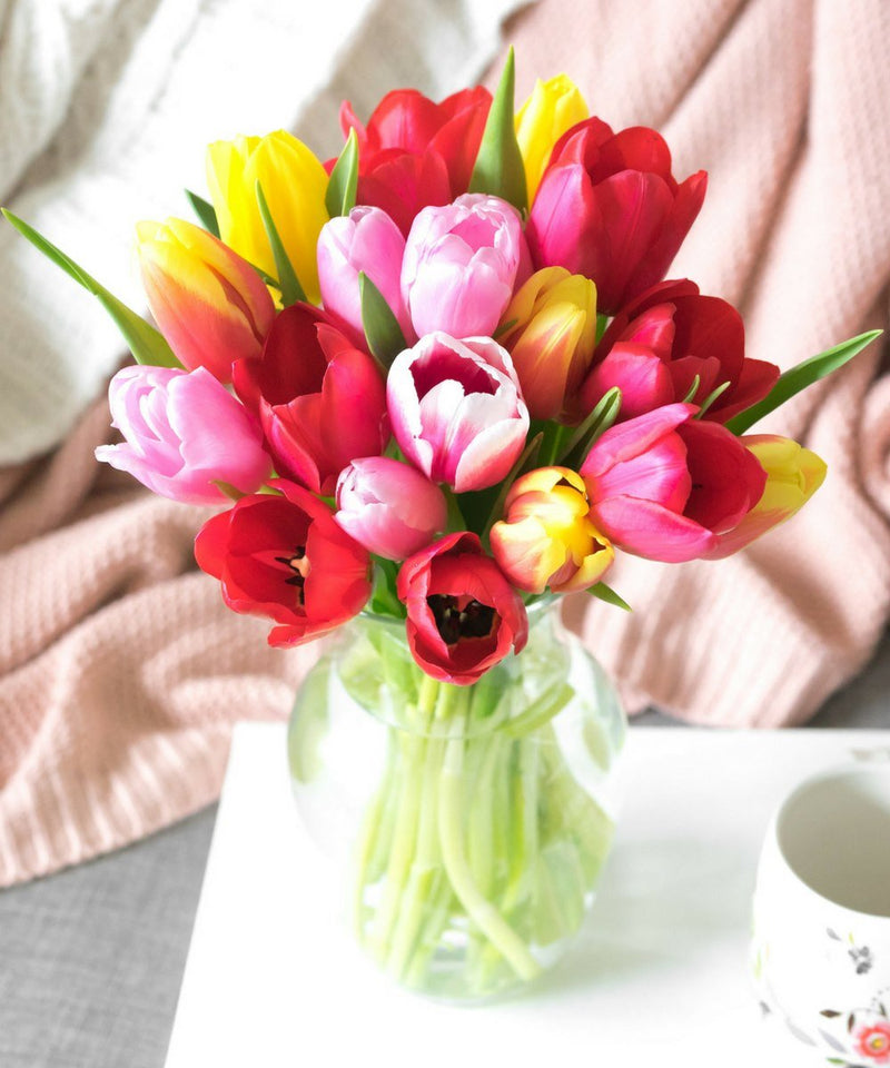 Sunshine Rainbow Tulips - 20 Stems - Sorta Stuff