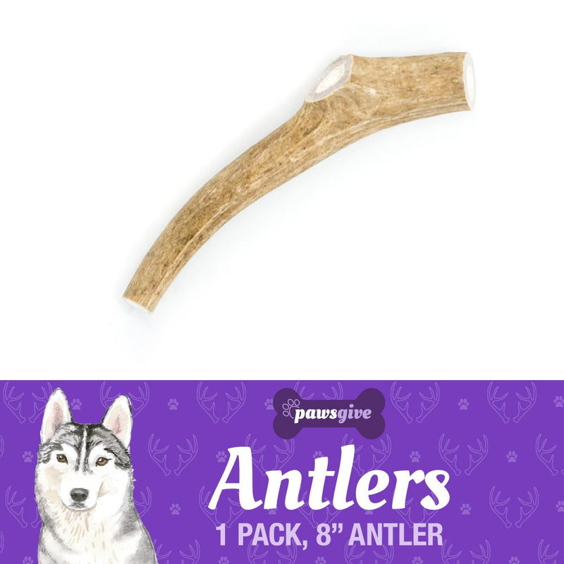 PawsGive Grade "A" Naturally Shed Antler Chews for Dogs - 8" Large Antler - Sorta Stuff