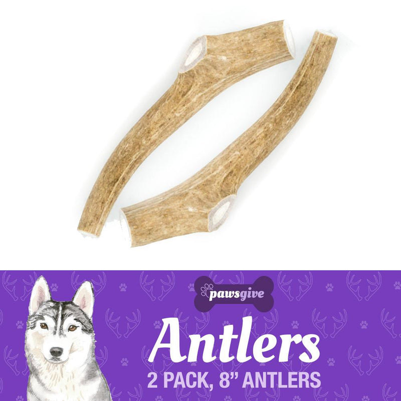 PawsGive Grade "A" Naturally Shed Antler Chews for Dogs - 8" Large Antler - Sorta Stuff