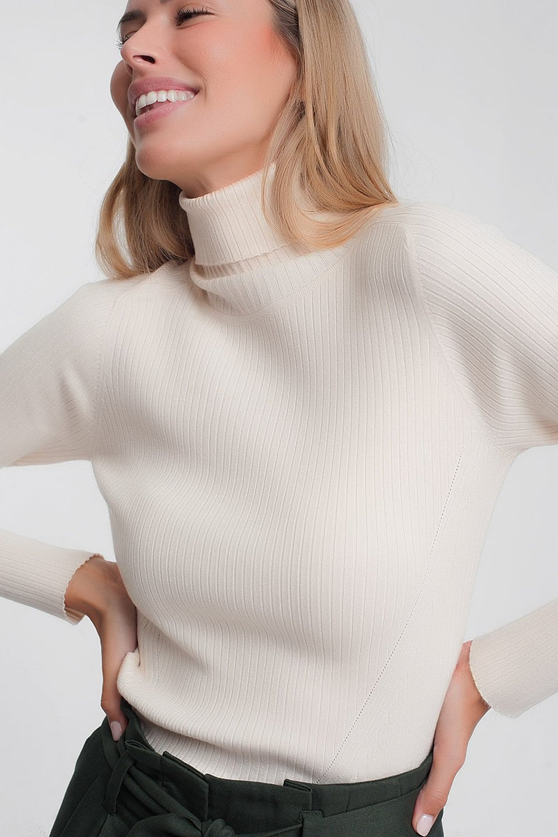 Soft Ribbed Sweater With Turtleneck in Beige - Sorta Stuff